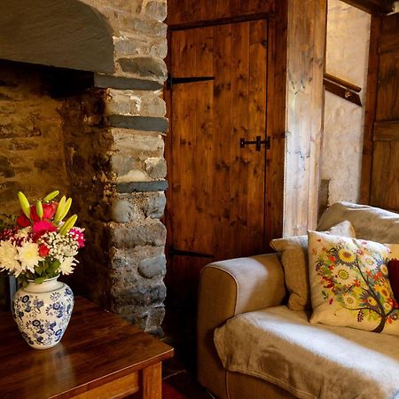 Deer House Villa Machynlleth Ngoại thất bức ảnh